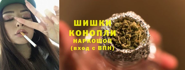 крисы Майский